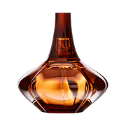 Secret Obsession Eau de Parfum