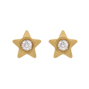 18K Gold Plated Flower Star Earring 129