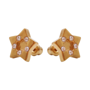 18K Gold Plated Star Earring 164