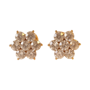 Big Flower Earring 166