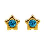 18K Gold Plated Star Earring 174
