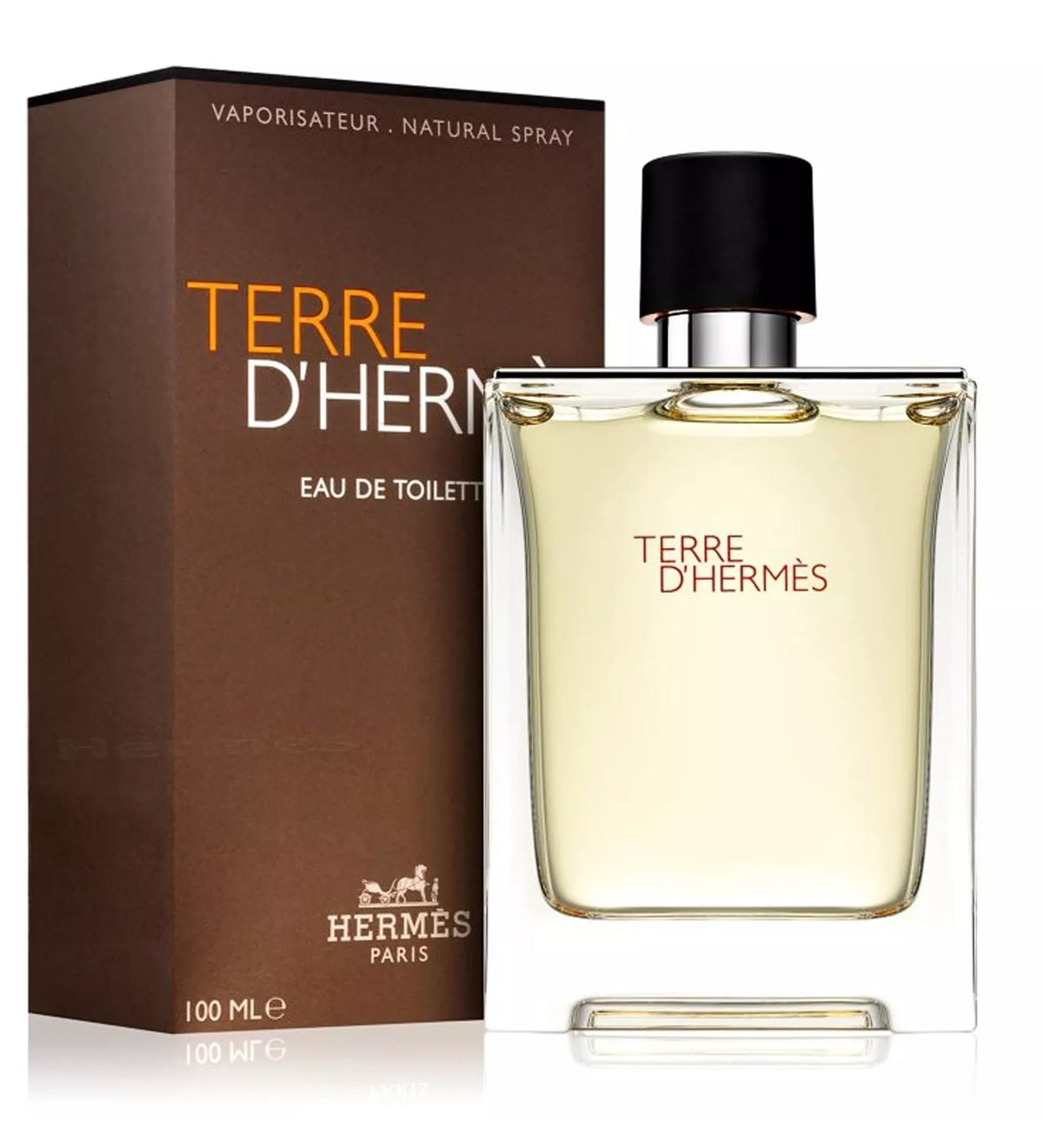 Perfume-Hermes-Terre d'Hermes Eau de Toilette-M-100ML