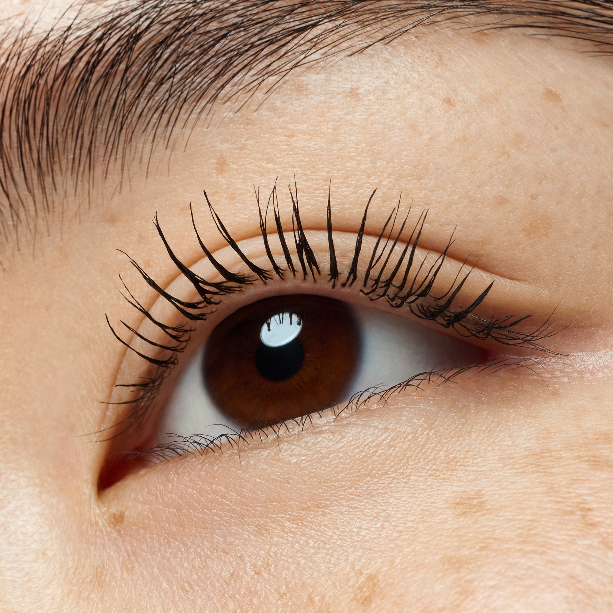 Lash Without Limits Waterproof Extreme Lengthening & Volume Mascara