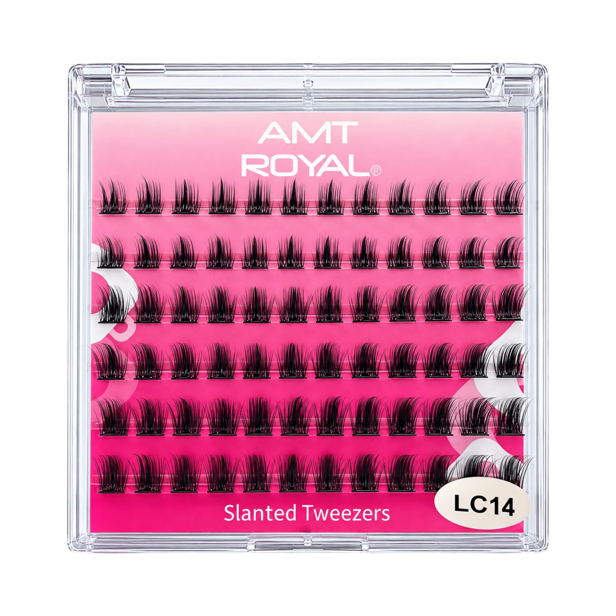 Slanted False Eyelashes LC14