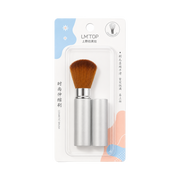 Cosmetic Brush