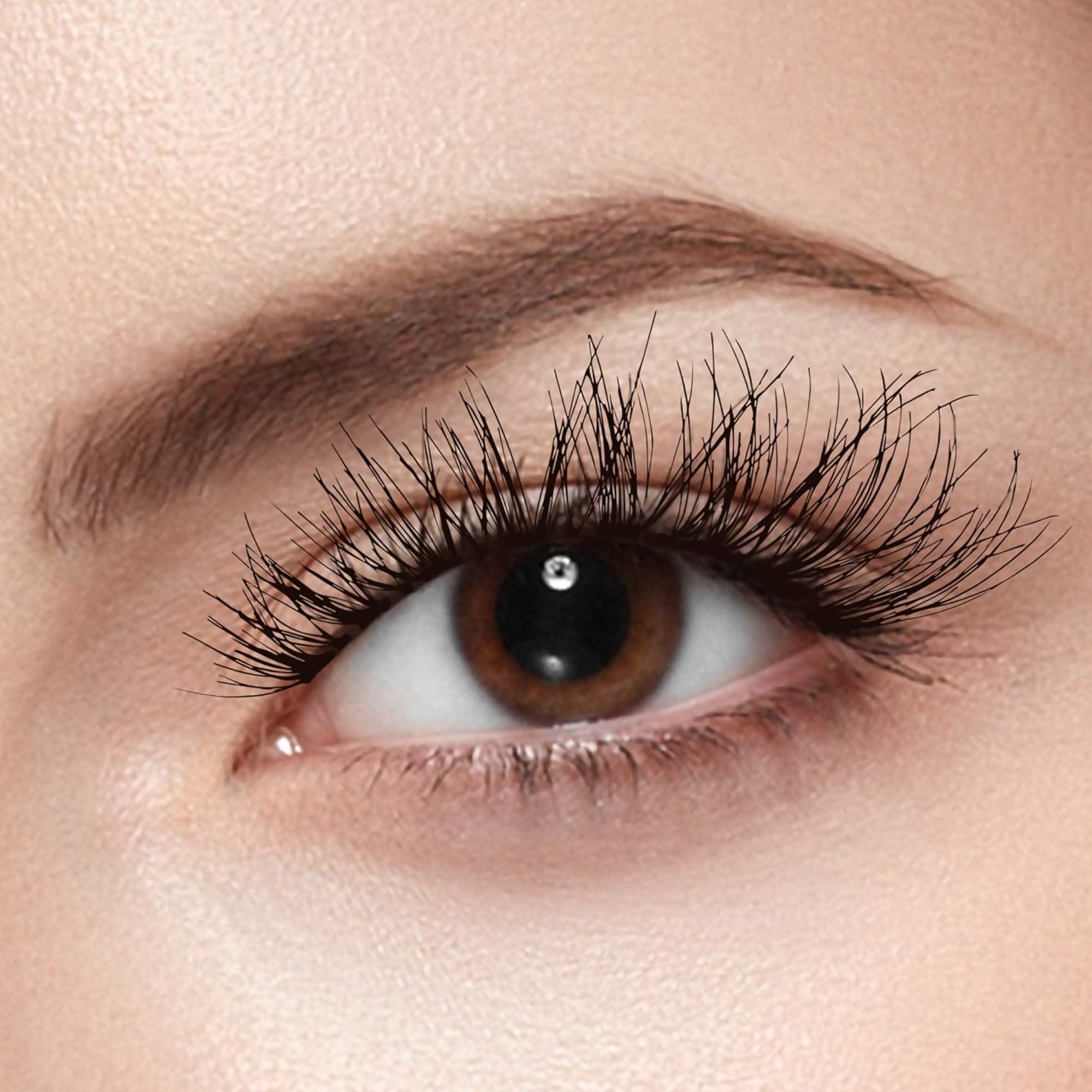 Blowout Lash Multipack
