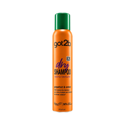 got2b Fresh It Up Extra Texture Dry Shampoo