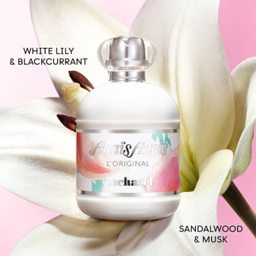 صورة عطر كاشاريل أنيس أنيس لوريجينال 100 مل